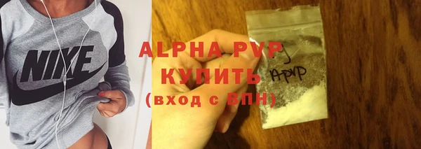 индика Пестово