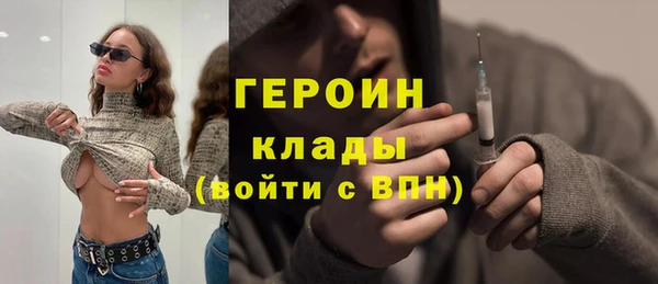 индика Пестово