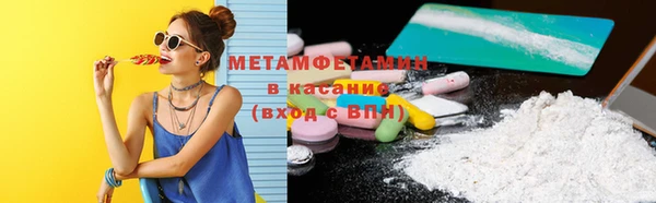 индика Пестово