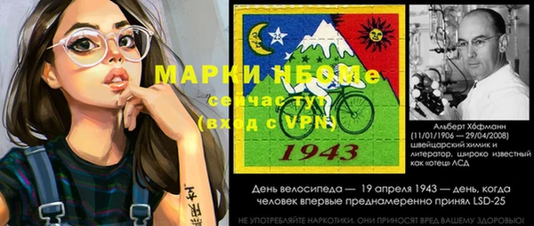 индика Пестово