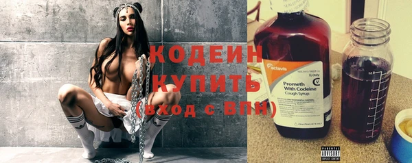 индика Пестово