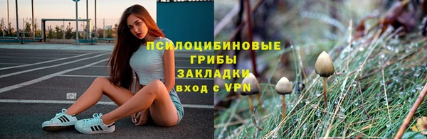 мяу мяу мука Пересвет