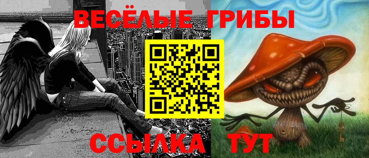 Псилоцибиновые грибы MAGIC MUSHROOMS  Вход с VPN  Коряжма 