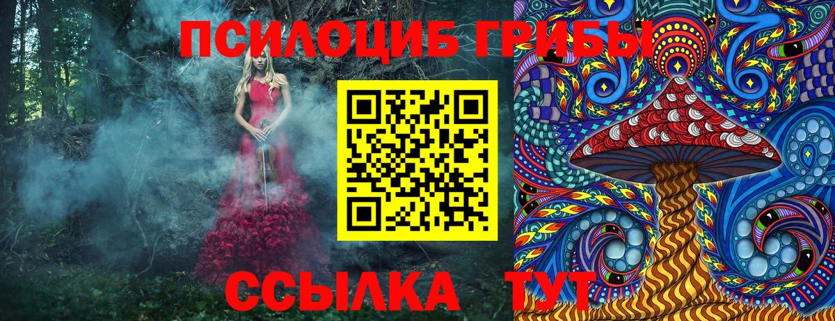 Псилоцибиновые грибы MAGIC MUSHROOMS Коряжма
