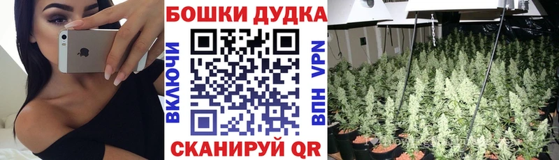 закладка  blacksprut ONION  Шишки марихуана Ganja  Коряжма 